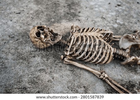 Dark Human skeleton model lying on old abandoned concrete floor. view of skull and rib cage. concept of forensic science, death mystery and crime scene investigation.
