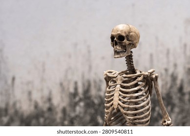 Dark Human skeleton model with skull and rib cage on textured abstract weathered grey old concrete wall background with copy space.