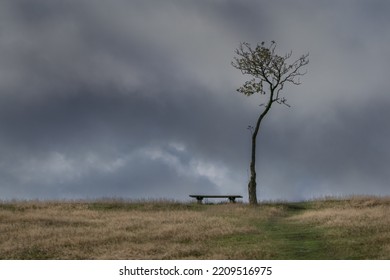 Dark Image Of A Bench And Thin Tree On A Grass Hilltop With Dark Cloudy Background
