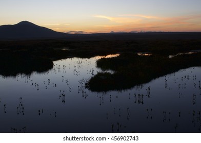 Dark Image Of Peatland Pool System After Sunset, Forsinard Scotland