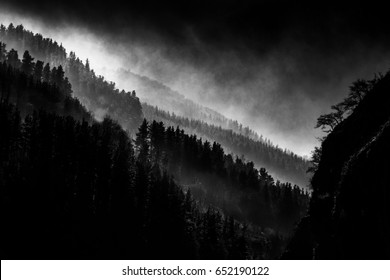 Dark Landscape With Foggy Forest