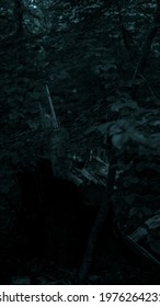 Dark leaf in the forest