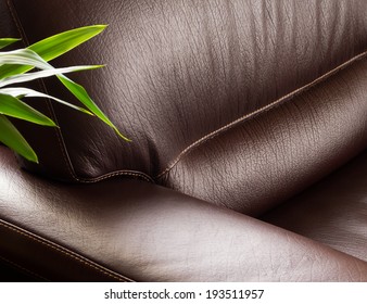 Dark Leather Sofa With Plant