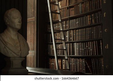 Dark Library Hall With Antique Bust, Ladder And Many Books On The Shelves