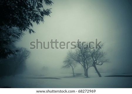 Similar – Foto Bild Baum im Nebel Umwelt Natur