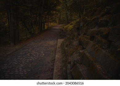 dark moody autumn season enchanted forest with lonely trail and old stone ruined wall of ancient castle 