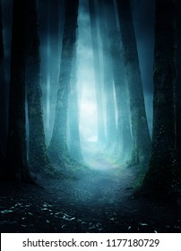 A dark and moody forest at night with a pathway leading through it. Photo composite.