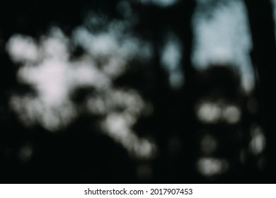 Dark And Moody Green Blurred Background