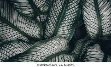 dark moody green leafy background image hd wallpaper