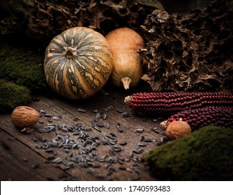 Dark moody outdoor still life with autumn vegetables corns, pumpkins and sunflower seeds on an old wooden table. Autumn Harvest background.