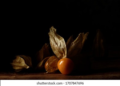 Dutch Masters Still Life Images Stock Photos Vectors Shutterstock Dutch Masters Still Life Images Stock Photos Vectors Shutterstock