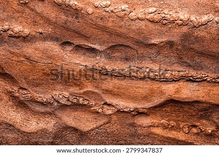 Dark Moody Tree Bark: Gritty Industrial Grunge Wood Texture