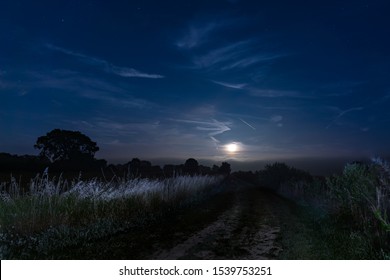 A dark, moonlit scene with tall grass blowing in the wind along a path, as the full moon rises. - Powered by Shutterstock