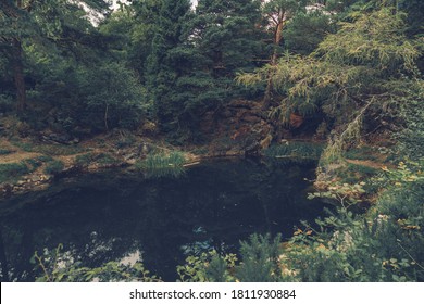 A dark and mysterious secluded pond surrounded by trees and a dried up river.