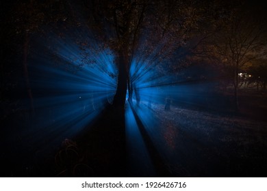 幽々