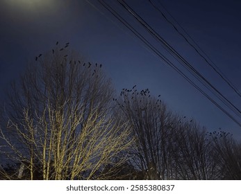 Cielo nocturno oscuro y