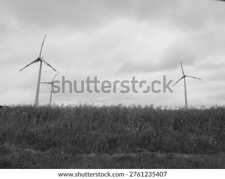 Dark, ominous storm clouds hovering over a vibrant rural meadow at sunset