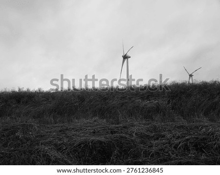 Dark, ominous storm clouds hovering over a vibrant rural meadow at sunset