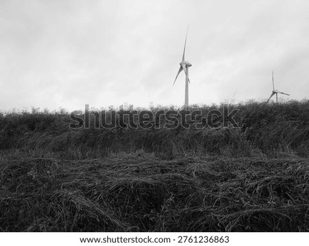 Dark, ominous storm clouds hovering over a vibrant rural meadow at sunset