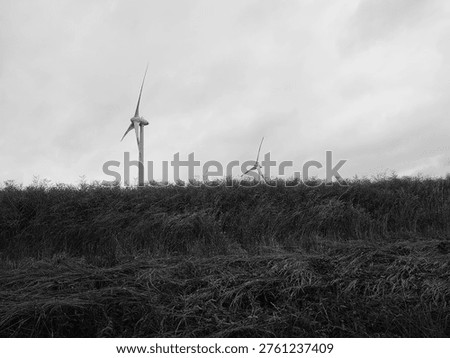 Dark, ominous storm clouds hovering over a vibrant rural meadow at sunset