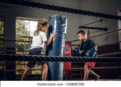 Dark Photo Shoot Of Kids Training With Big Punching Bag At Boxing Studio.