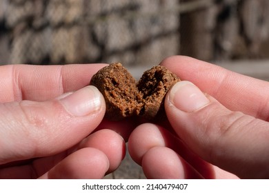 Dark Pieces Of Hashish Cannabis With High Thc Trihomes.
