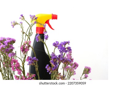 Dark Plastic Bottles On White Background With Dried Flower Kermek. Ecological Detergents For Cleaning. Product Mockup For Your Brand Or Packaging. 