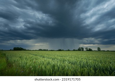 Dark rain cloud over a green field, Nowiny, Poland - Powered by Shutterstock