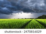 Dark rain cloud with storm over a green field with path