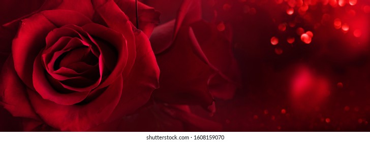 Những lời mời hoa hồng đỏ đậm sẽ đưa bạn đến với một thế giới đầy cảm xúc thăng hoa. Đừng bỏ lỡ cơ hội để chinh phục trái tim người mình yêu thương bằng bức ảnh những bông hoa hồng đỏ đầy sức sống này.