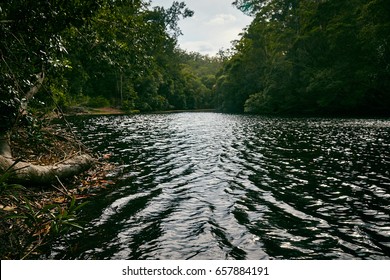 Dark River