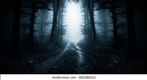 dark road through fantasy forest at night, scary halloween landscape - Shutterstock ID 1801884532