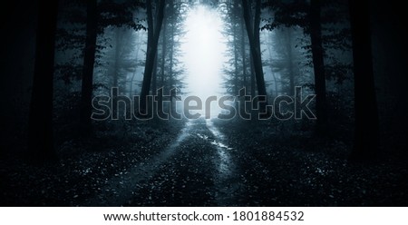 dark road through fantasy forest at night, scary halloween landscape