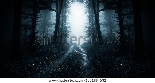 dark road through fantasy forest at night,\
scary halloween landscape