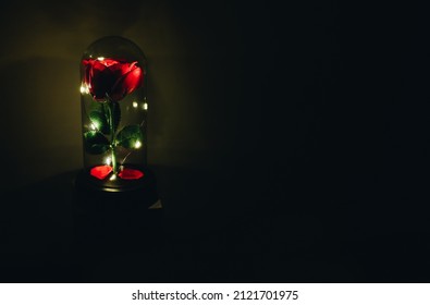 Dark room with illumination from glass flask with rose inside, romantic love gift, place for text