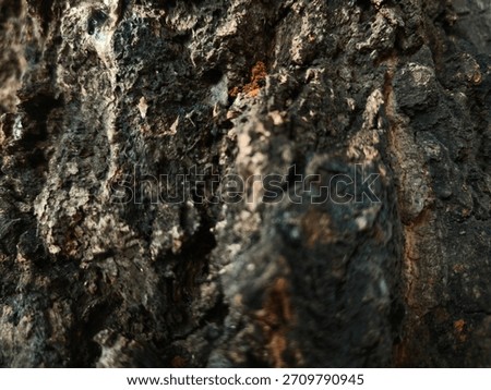 Dark, rough tree bark texture close-up. Natural rugged pattern, perfect for nature backgrounds, macro photography, and distressed surface stock photos. treebark texture nature macro