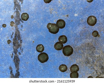 Dark Round Spots On Opaque Glass Against Blue Sky