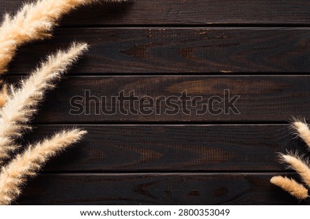 Dark rustic wooden background with dried pampas grass natural decorative frame