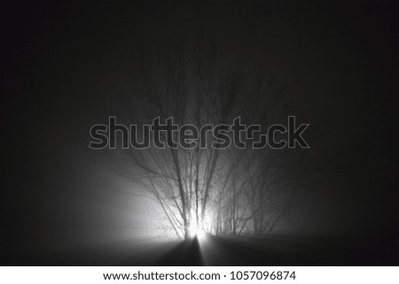 Similar – Nebelbaum Baum Nacht