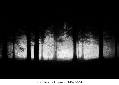 Dark And Scary Forest With Grungy Textures