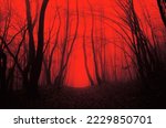 dark scary forest, horror landscape