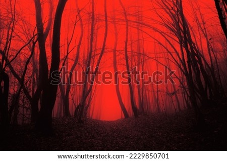 dark scary forest, horror landscape