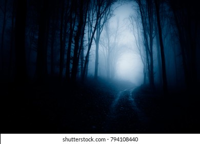 Dark Scary Forest Road At Night, Surreal Atmosphere