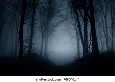 Dark Scary Forest Road On Foggy Night