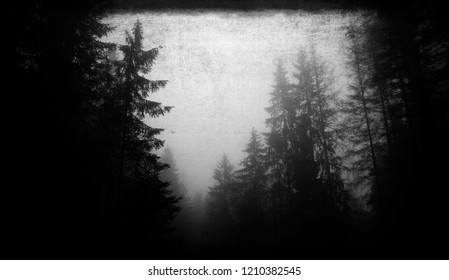 Dark Scary Halloween Forest Wallpaper Horror Stock Photo 1210382545