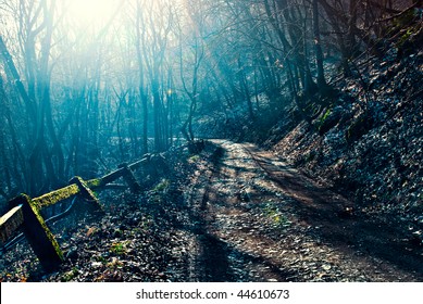 Dark, scary road in the forest