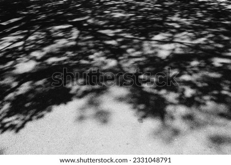 dark shadow of the tree on asphalt road texture, shade of trees on the road
