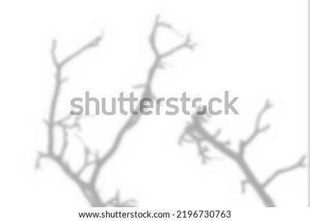 Dark shadows of branches of spring trees reflected on concrete surface of wall of building. Wavy unusual creative texture of sunlight shadows