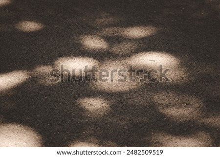 A dark, shadowy area with a lot of small circles on the ground. The circles are scattered all over the ground, creating a sense of depth and texture. Scene is mysterious and intriguing