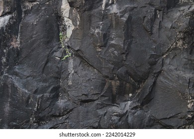 Sharp Rock Texture: Background Images & Pictures